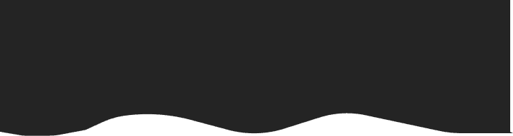 New Launch